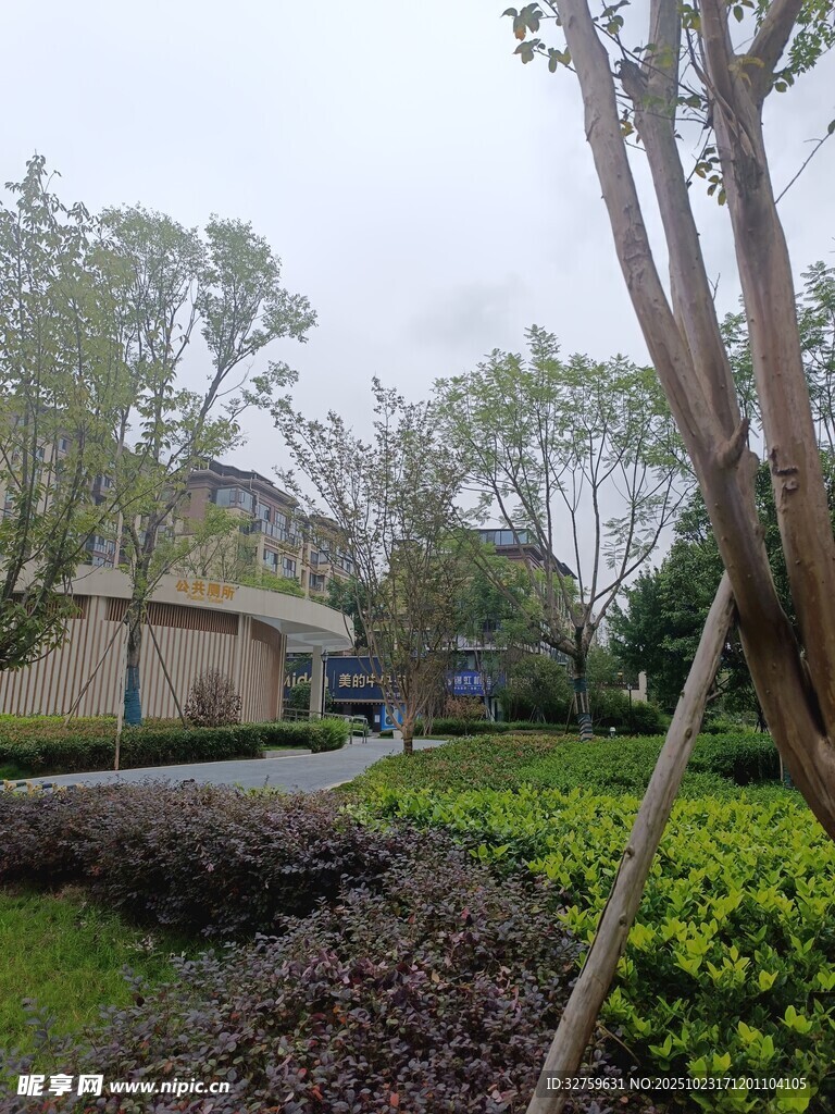 小区绿植环绕的静谧一角