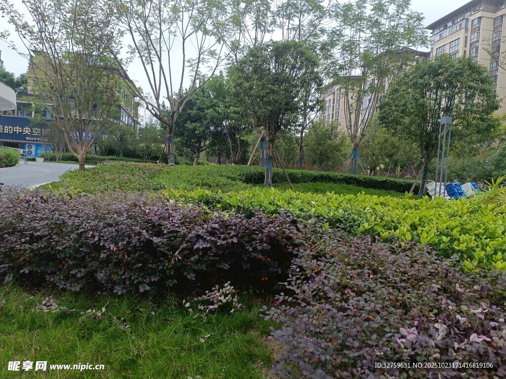 小区内修剪整齐的绿植景观