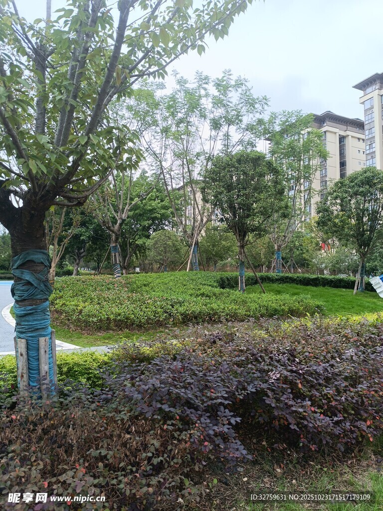 城市绿意盎然的园林景观