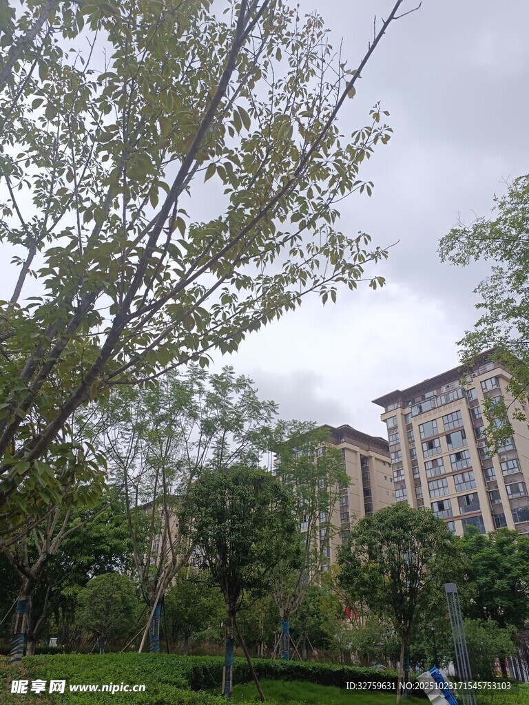 小区绿植环绕的楼房景观