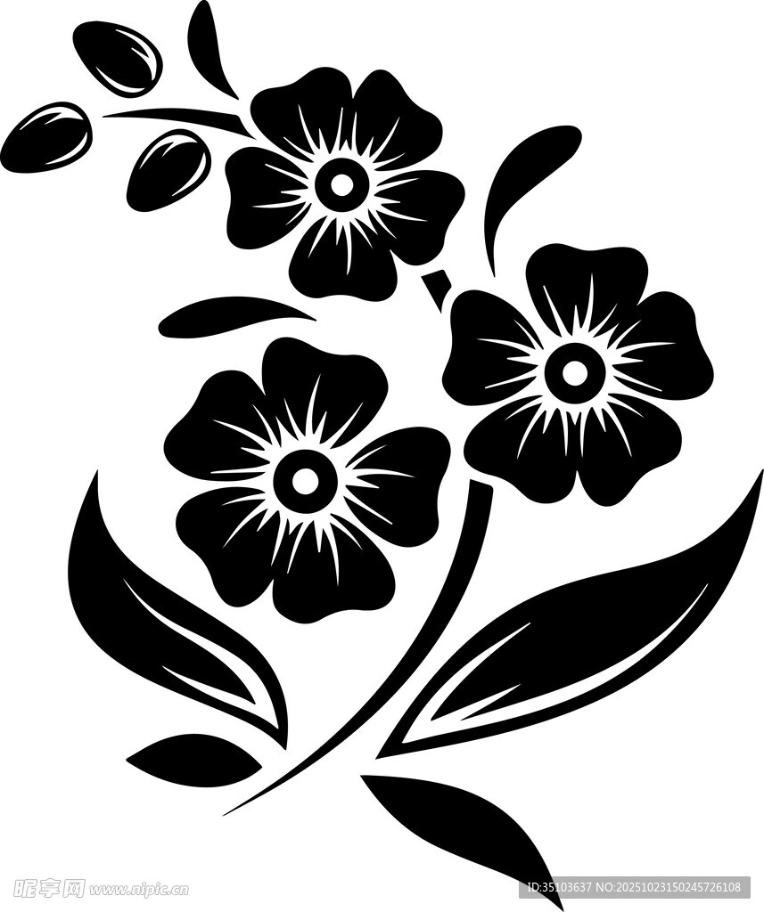 黑色花卉图案设计