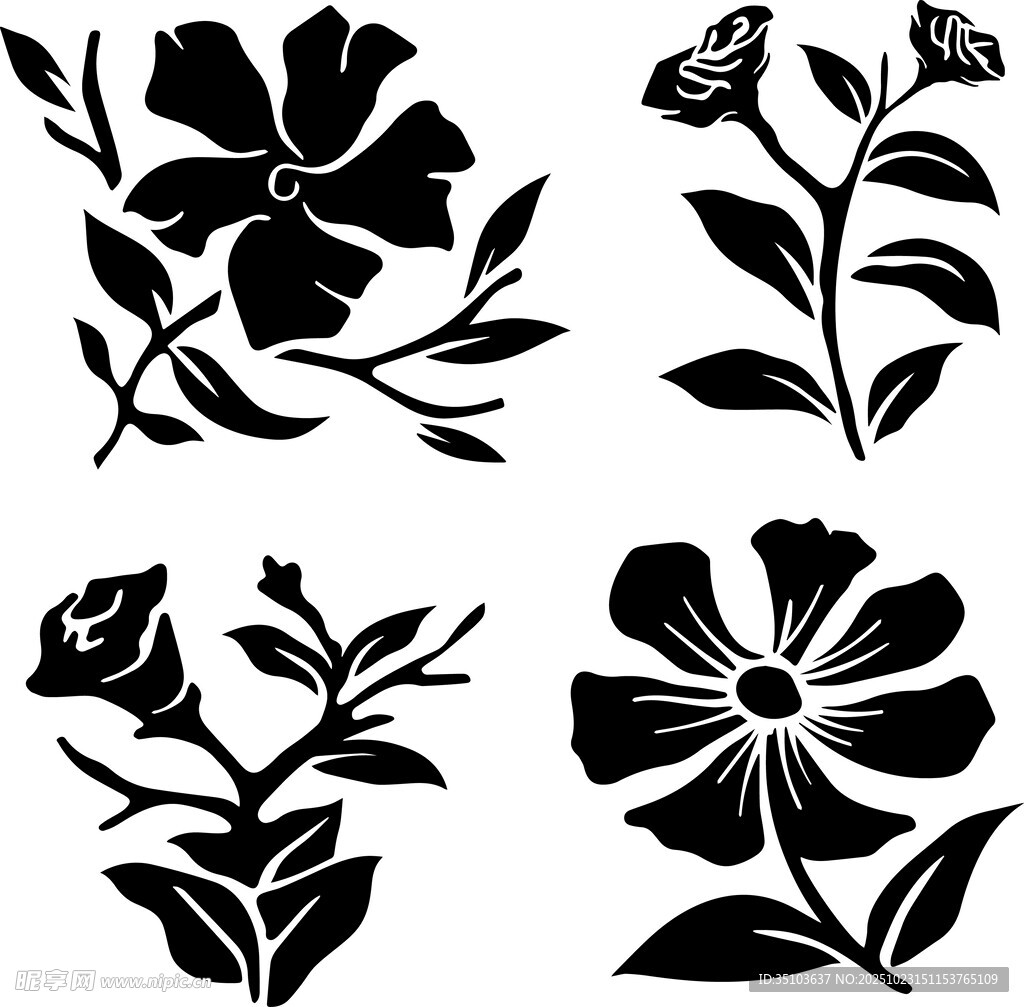 黑白花卉图案设计素材