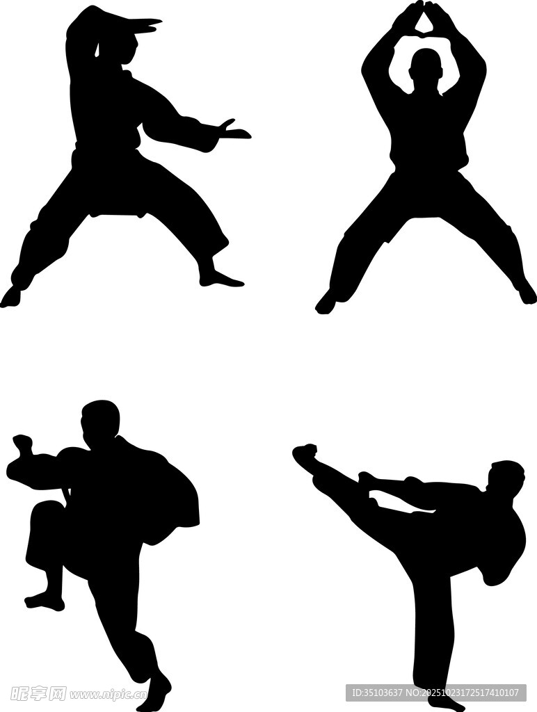 武术动作剪影