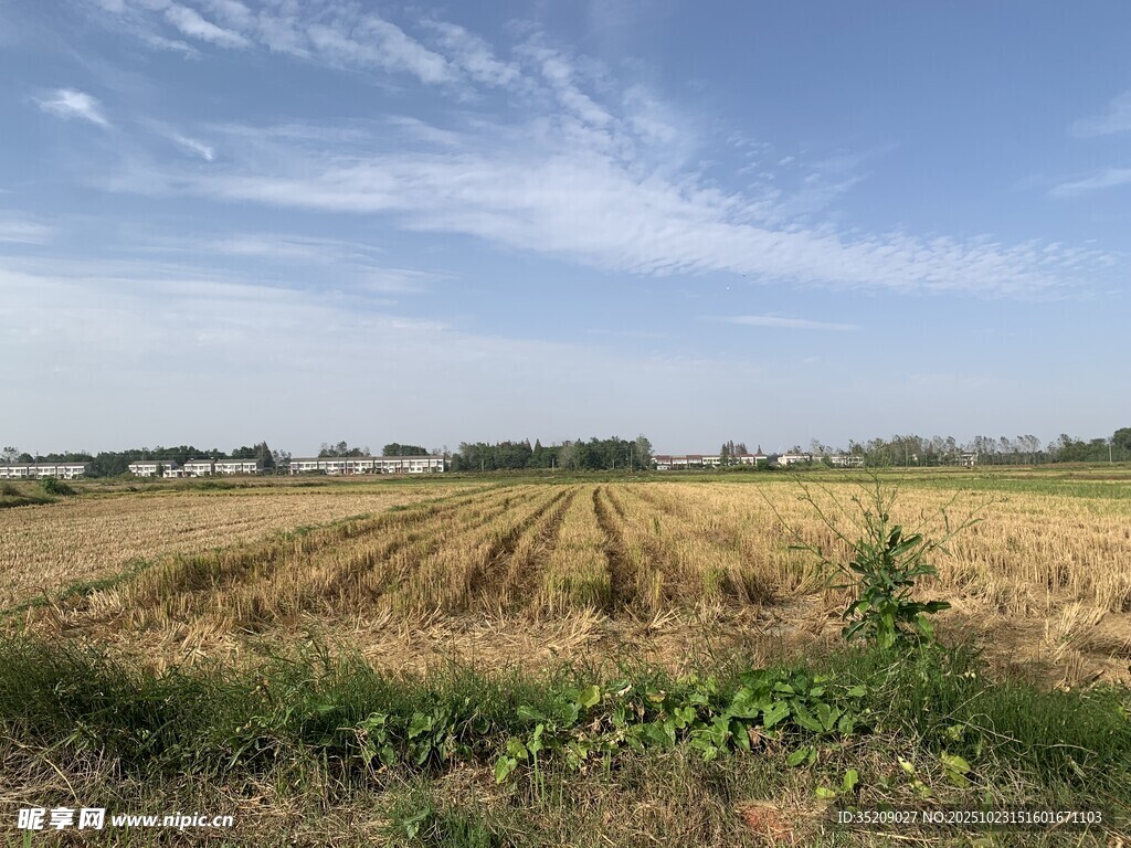 江汉 平原