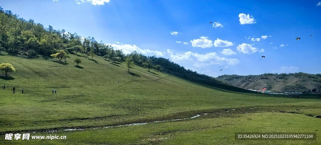 关山牧场