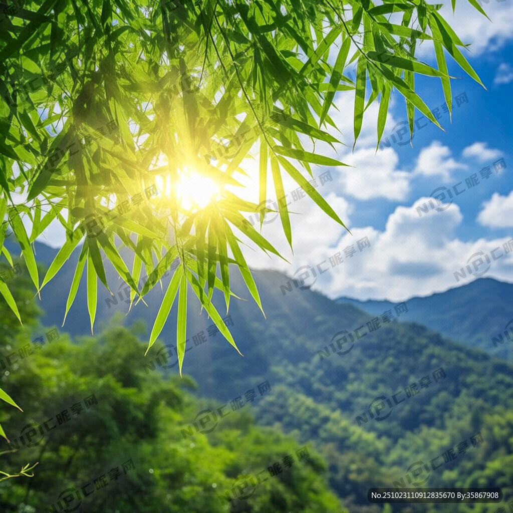 有竹叶有阳光带点黄色的幻境感觉