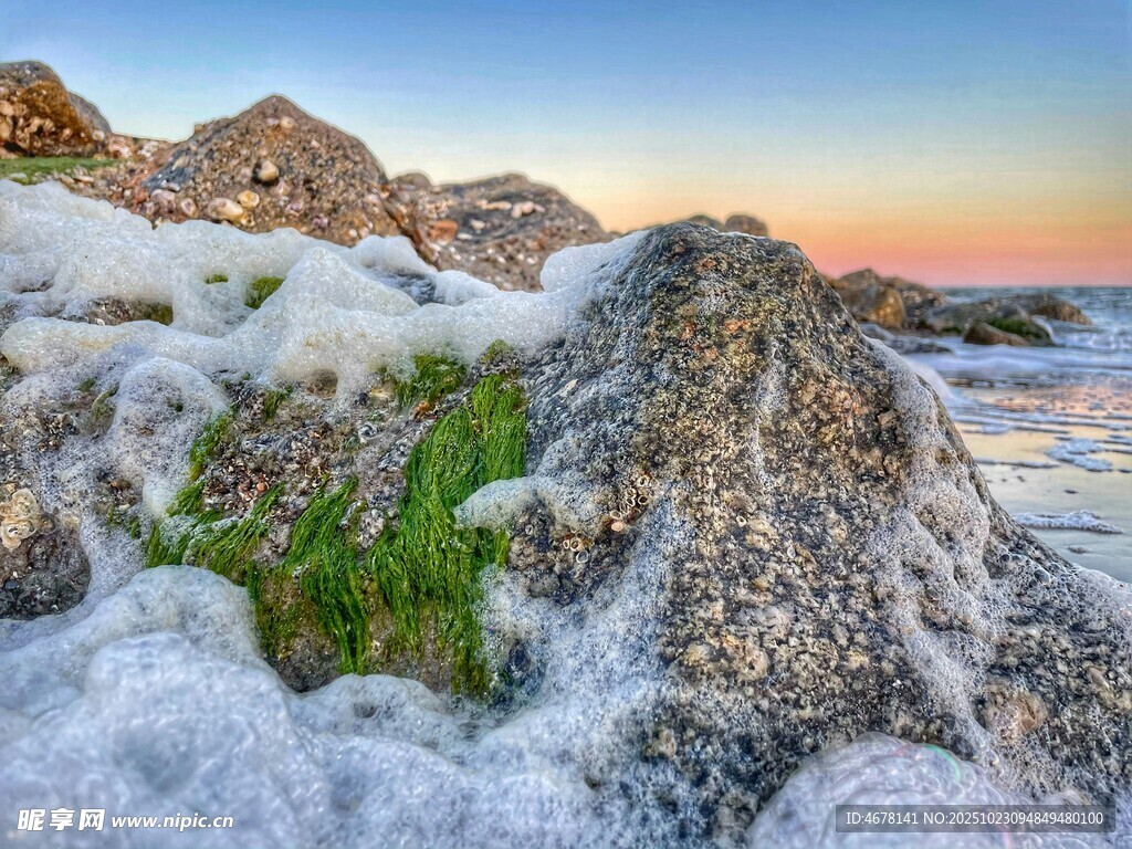 冰雪覆盖下的岩石绿植景观