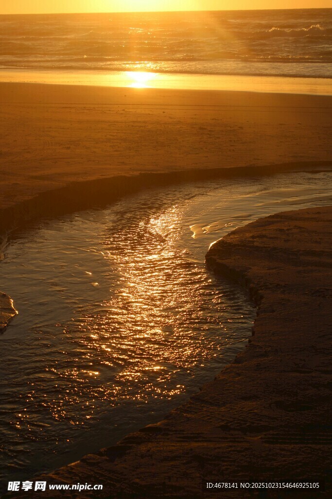 夕阳下蜿蜒流淌的金色溪流