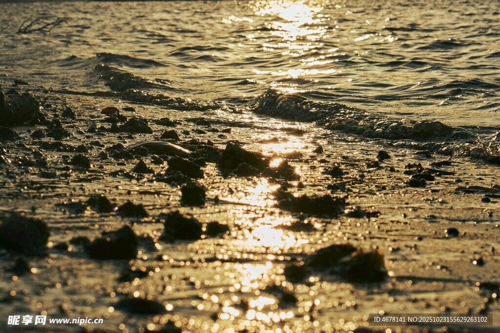 夕阳下波光粼粼的海边礁石