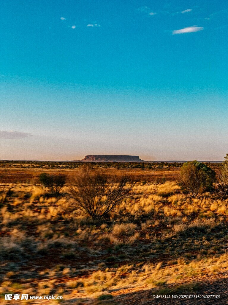 旷野星空下的壮丽景色