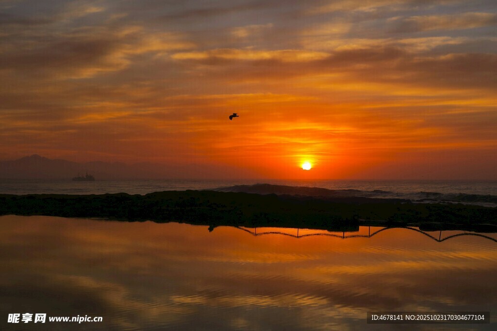 夕阳下的水面与飞鸟美景