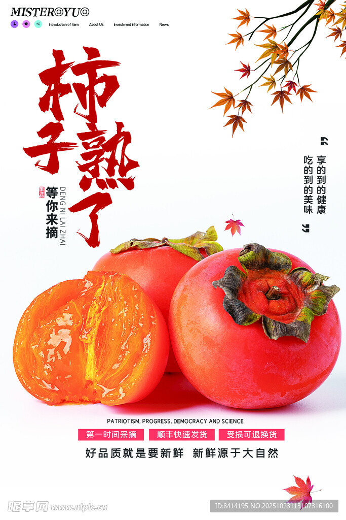 柿子海报