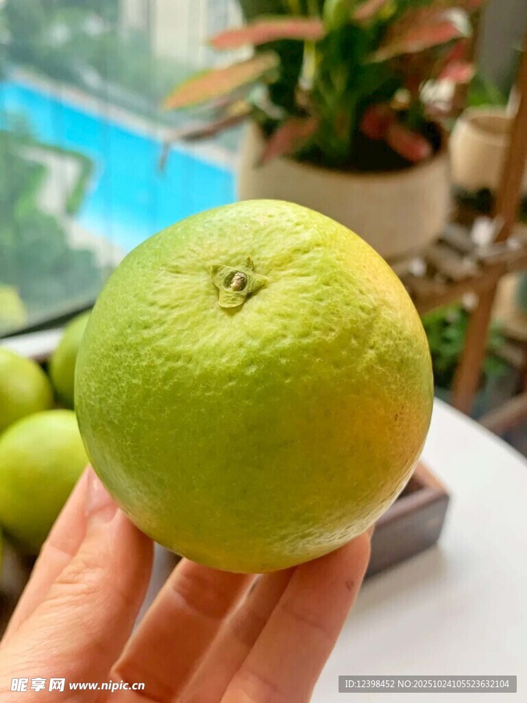 手捧鲜绿柑橘
