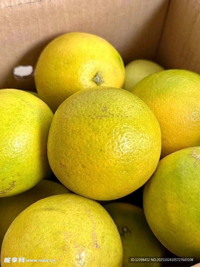 新鲜黄澄澄的柑橘