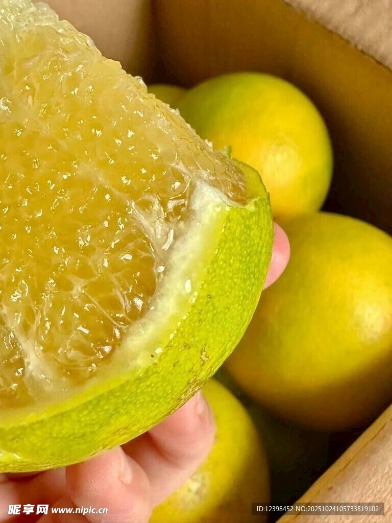 手捧新鲜切开的金黄柚子