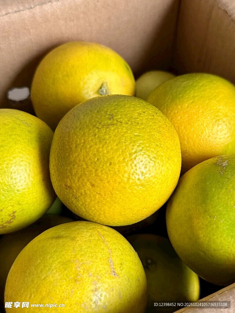 箱中鲜橙