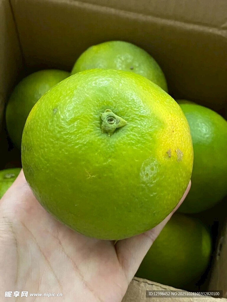 手捧青皮柑橘