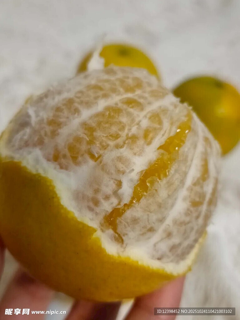 剥开的新鲜黄皮蜜柚