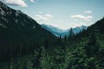 山间森林美景