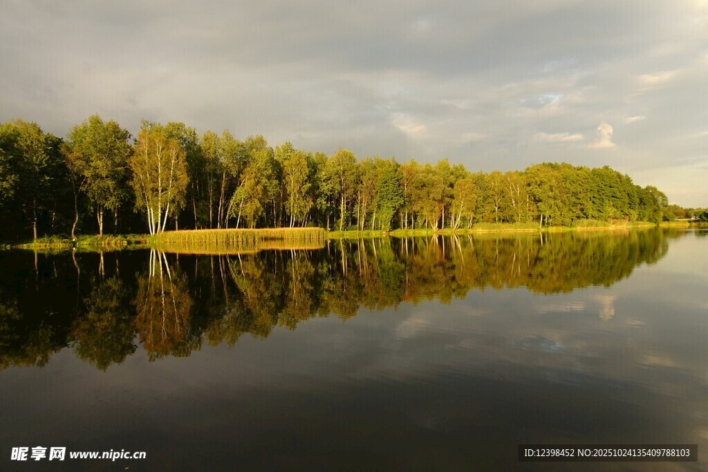 湖畔树林倒影