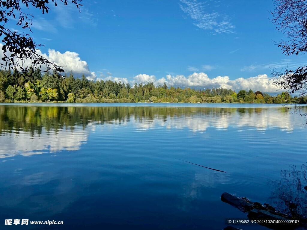 宁静湖畔的自然美景