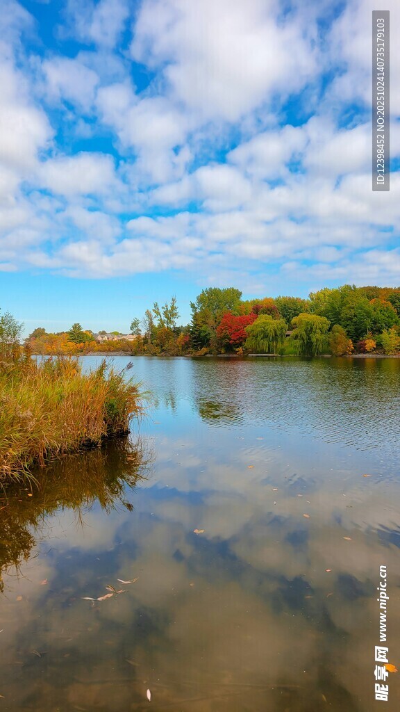 秋日湖畔美景