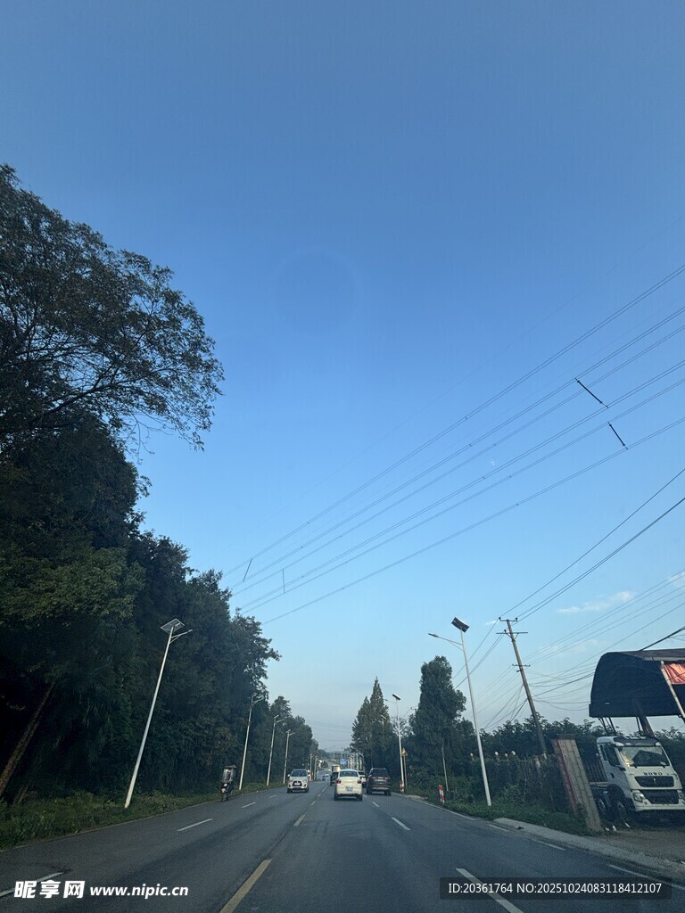 公路旁绿树蓝天的景象