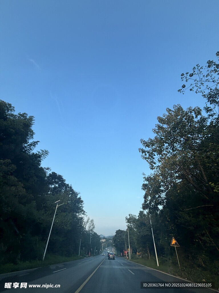 清晨林间公路景色