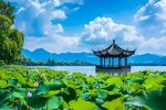 荷花风景 杭州西湖 西湖风景