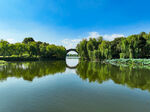 宁静湖景 葱郁绿意 自然景观