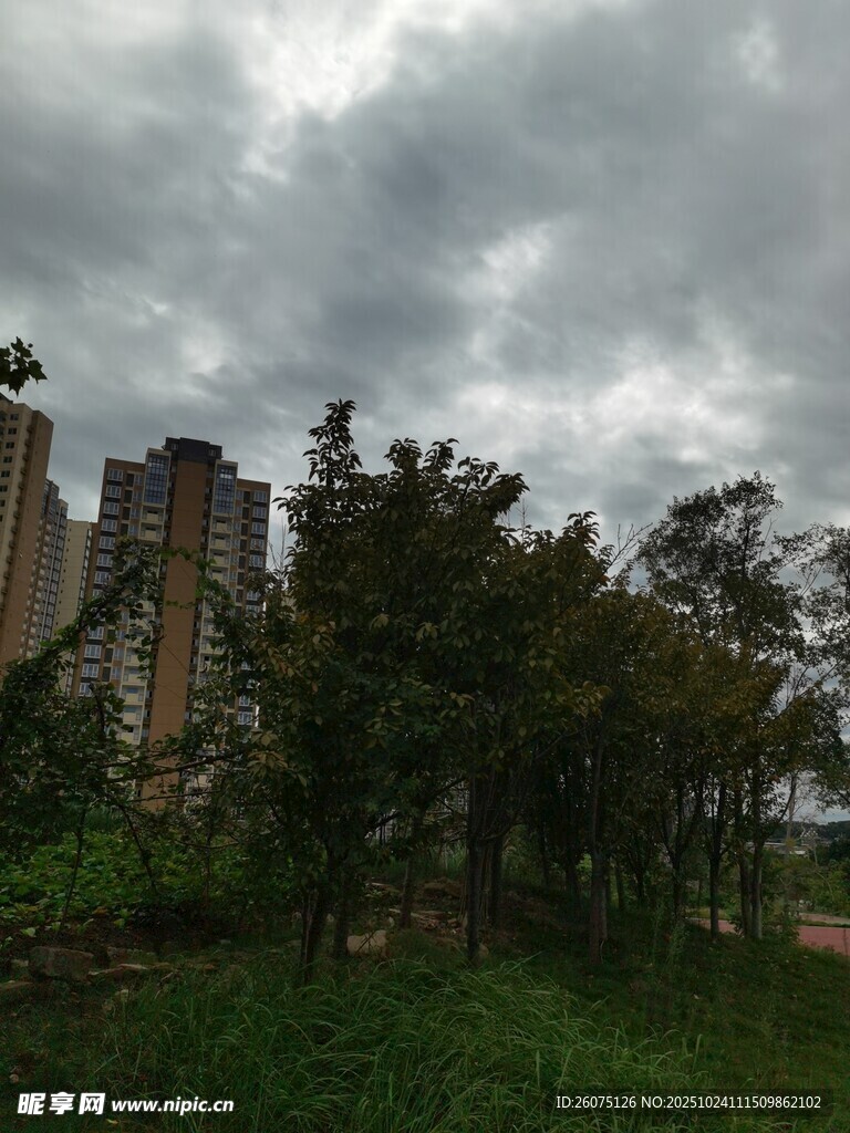 乌云下的城市与绿植景观