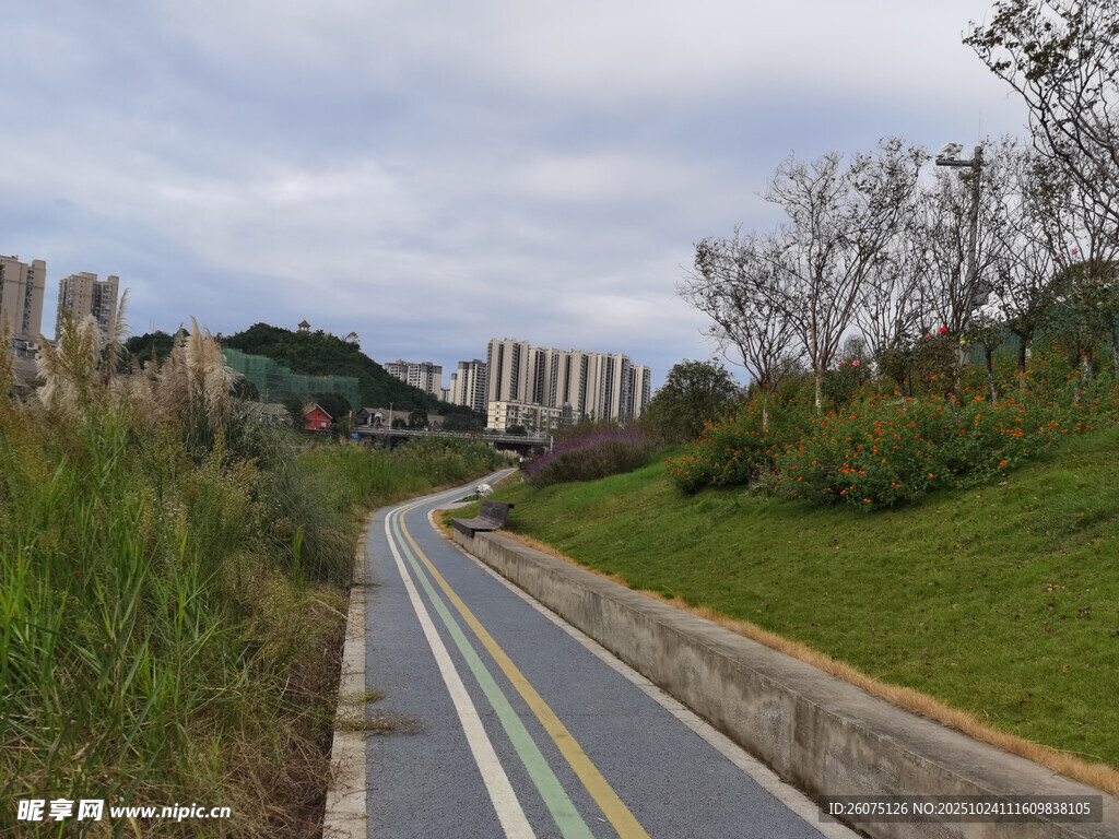 蜿蜒公路旁绿意盎然景色