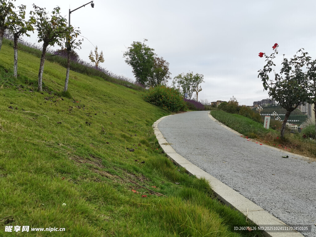 蜿蜒小路旁的翠绿斜坡