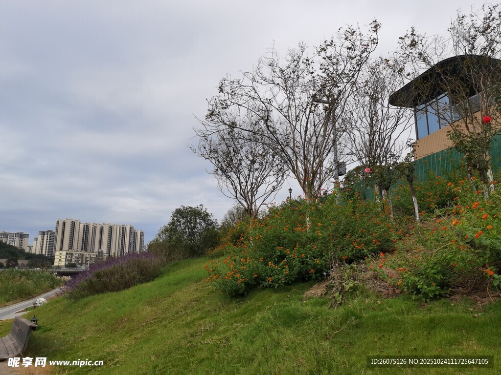 山坡上的小屋与城市远景