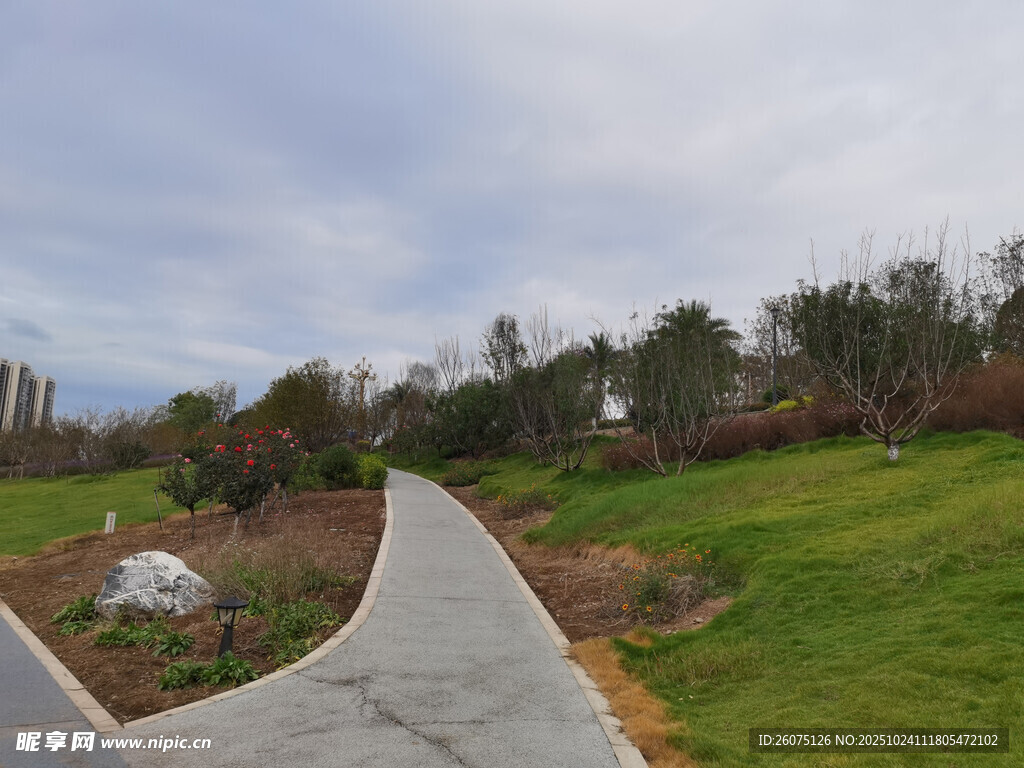 蜿蜒小径旁的美丽自然景观