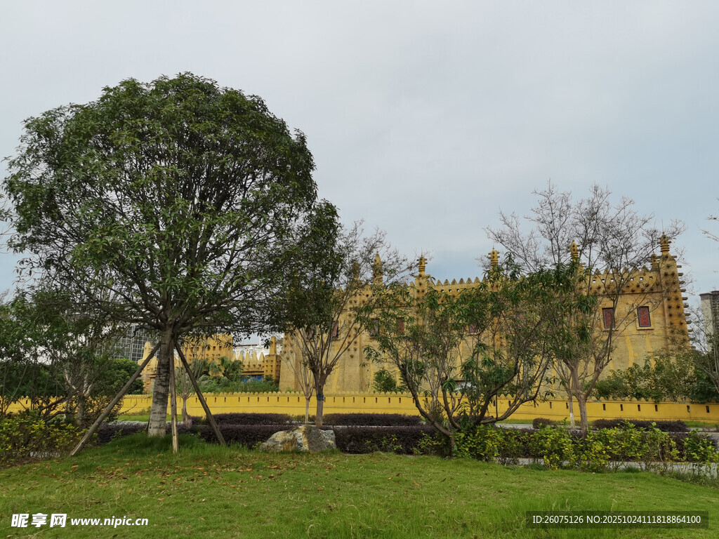 黄墙建筑旁的葱郁绿树