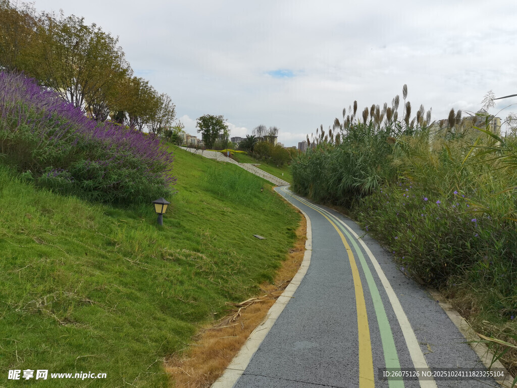 蜿蜒多彩的户外骑行小路