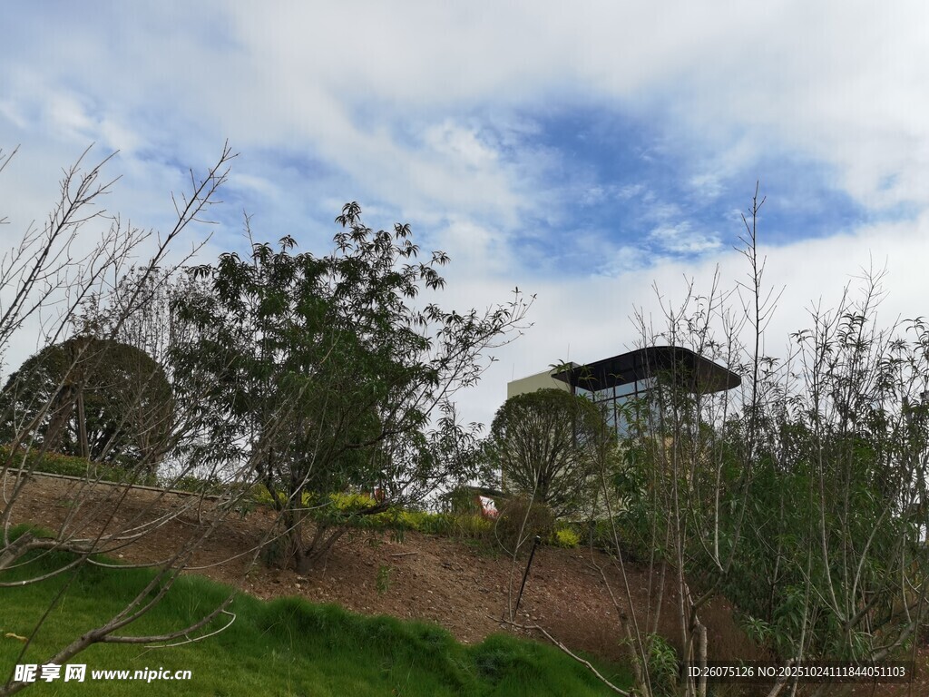 乡村景致屋舍草木蓝天