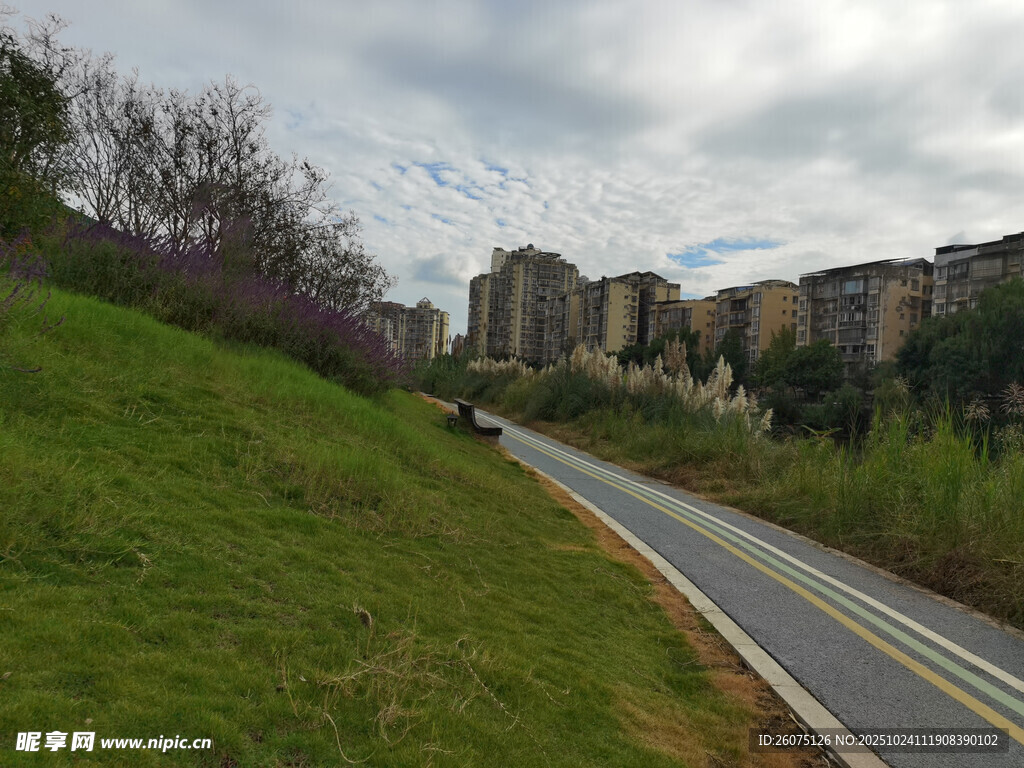 城郊公路旁的绿意景致