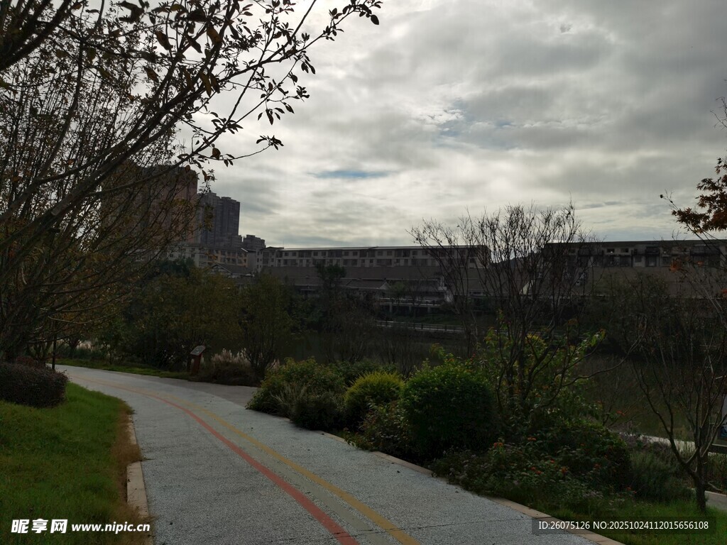阴天的公园小径风景