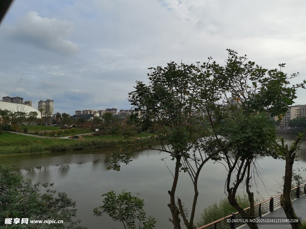 湖畔绿树环绕的宁静风光