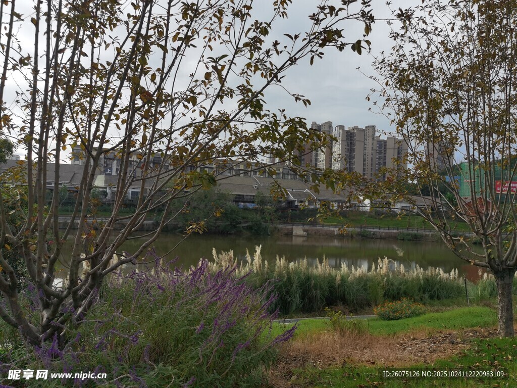 城郊自然景观花草树木