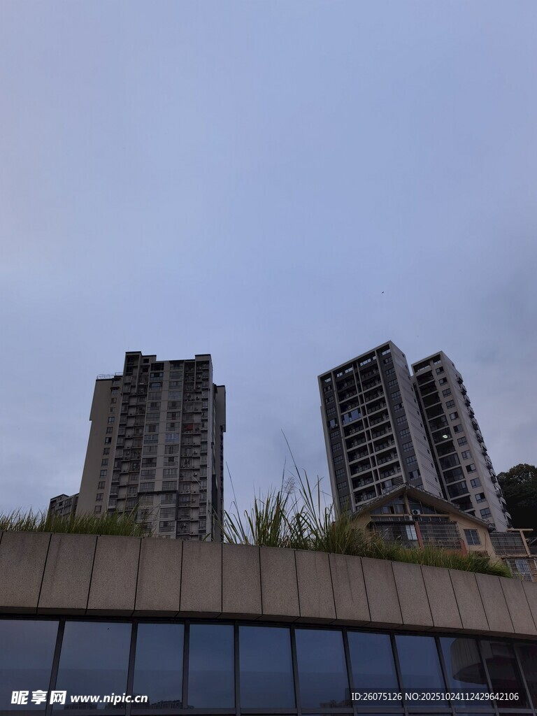 高楼与绿植相映成趣