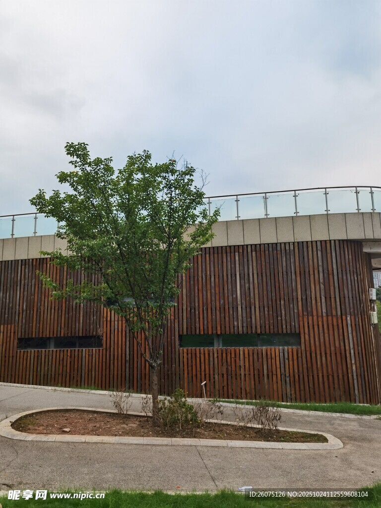 户外木质建筑旁的绿树