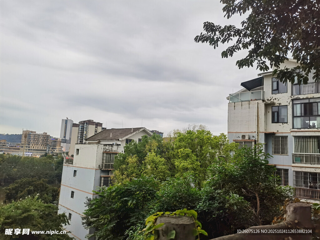 城市楼宇间的绿植景观