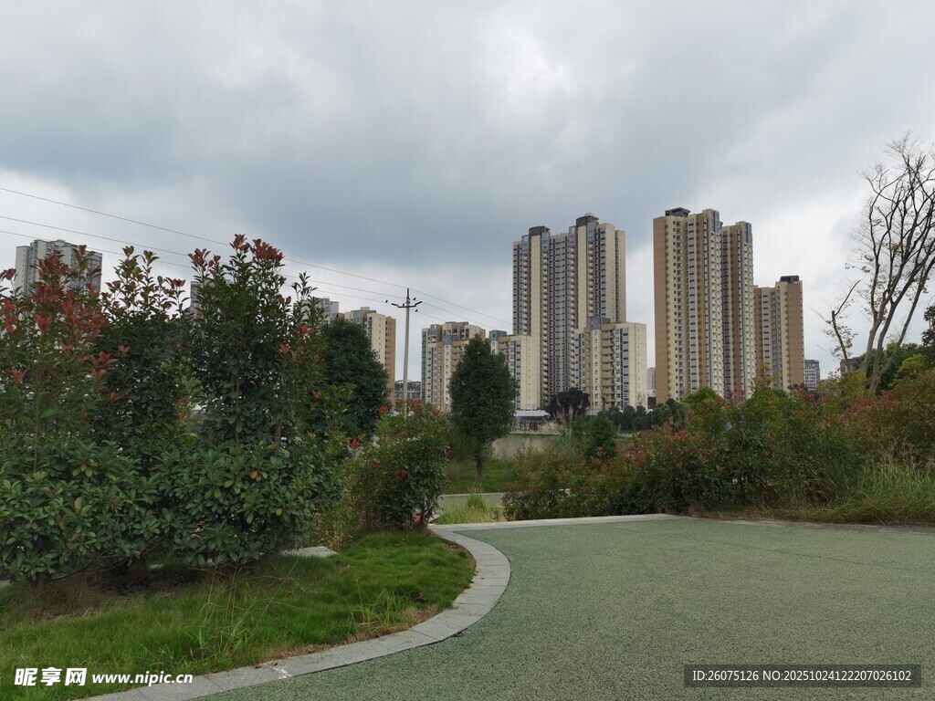 城市公园中的自然与建筑景观