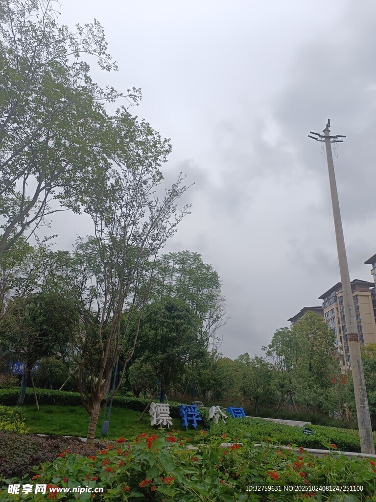 阴天的绿植与户外景象