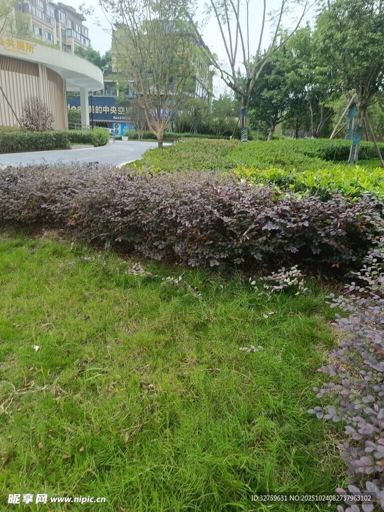 庭院绿植景观一角
