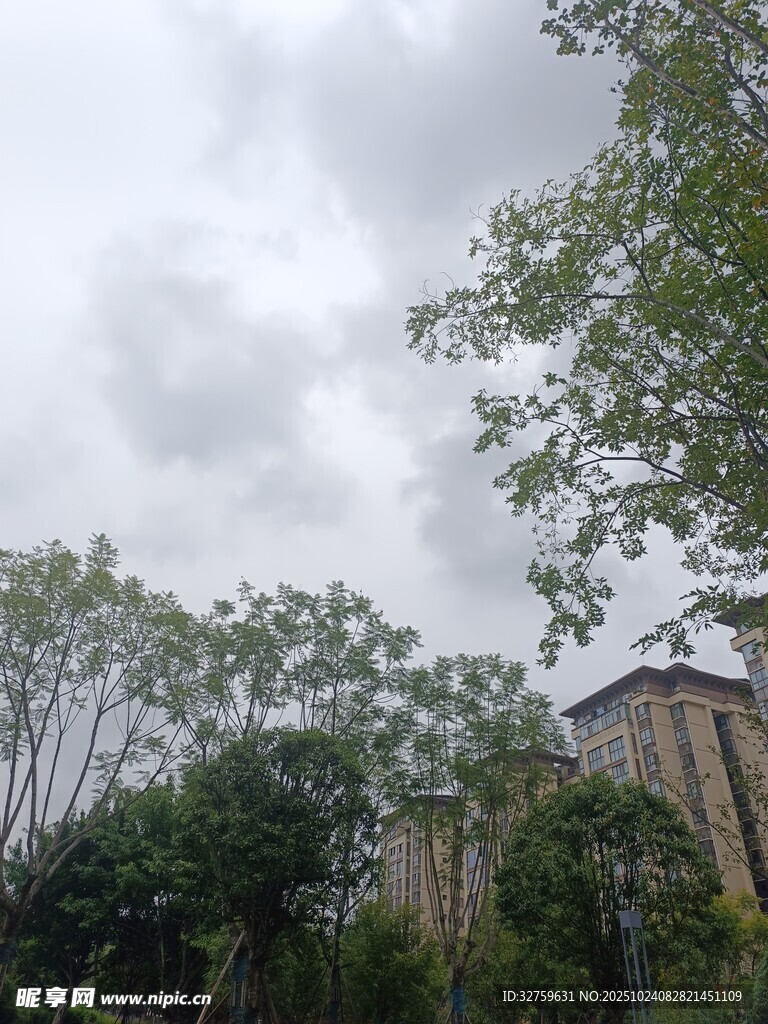 绿树环绕的建筑景观