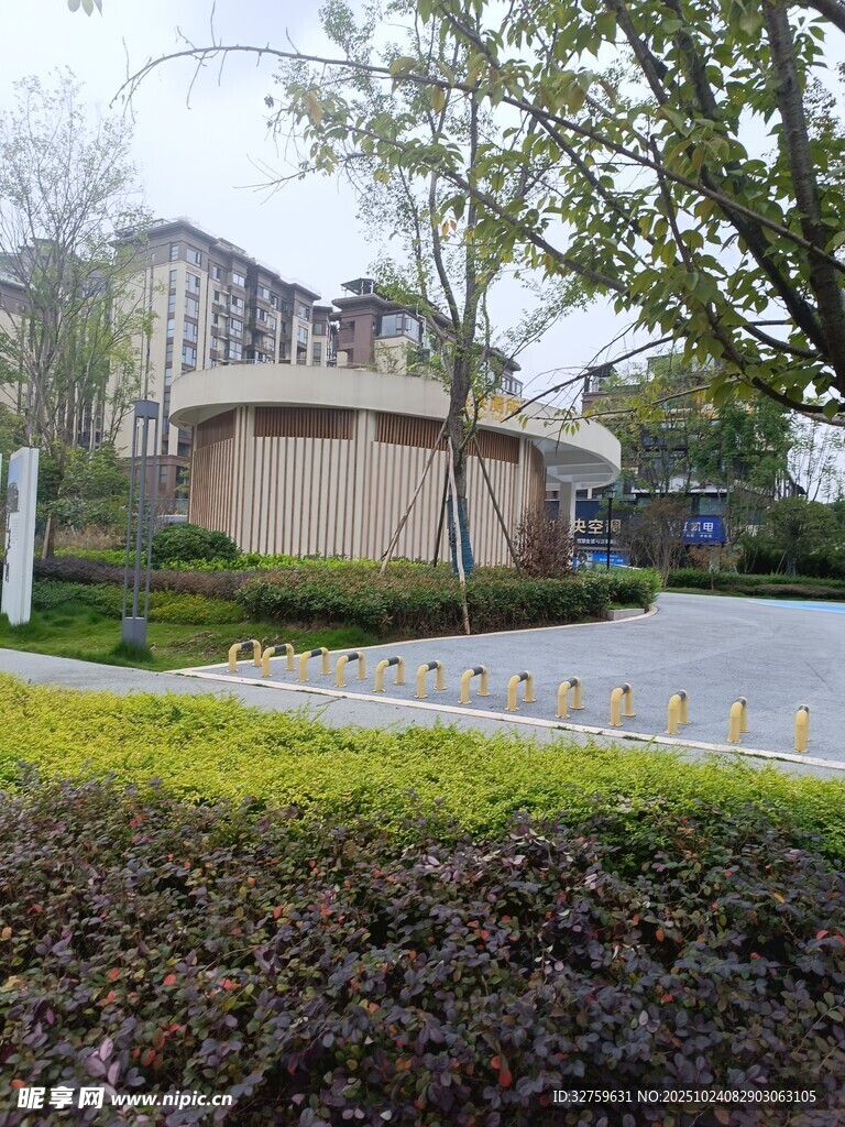 现代建筑旁的绿植景观